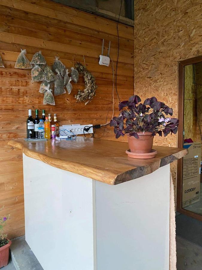 Guesthouse Omalo Εξωτερικό φωτογραφία